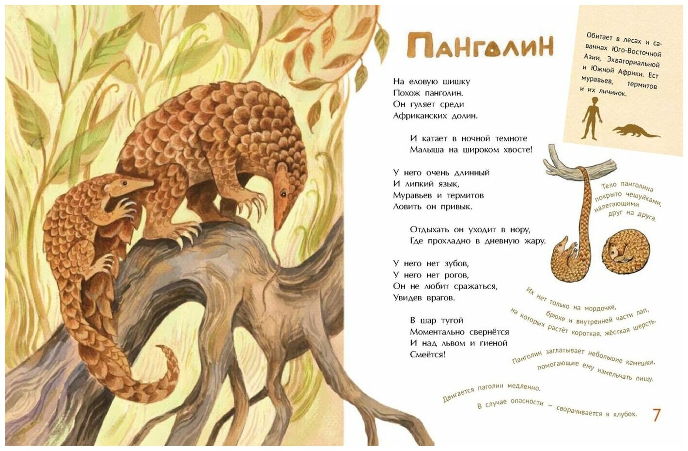 Необыкновенные звери (Герасимова Дарья Сергеевна) - фото №4