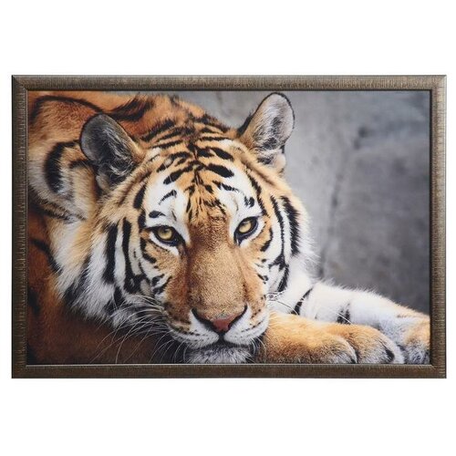 Картина велюр 