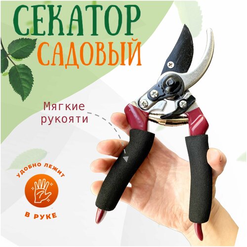 Садовые ножницы/секатор садовый/профессиональный садовый секатор/секатор для сада/сучкорез ручной/сучкорез/ножницы для сада