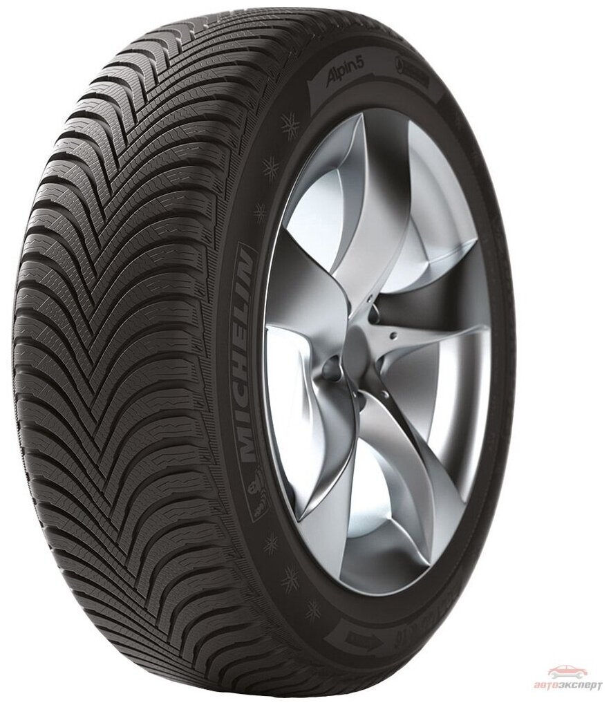 Автомобильные шины Michelin Alpin 5 205/50 R17 89V