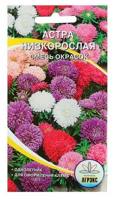 Семена цветов Астра смесь низкорослая 02-025 г(3 шт.)