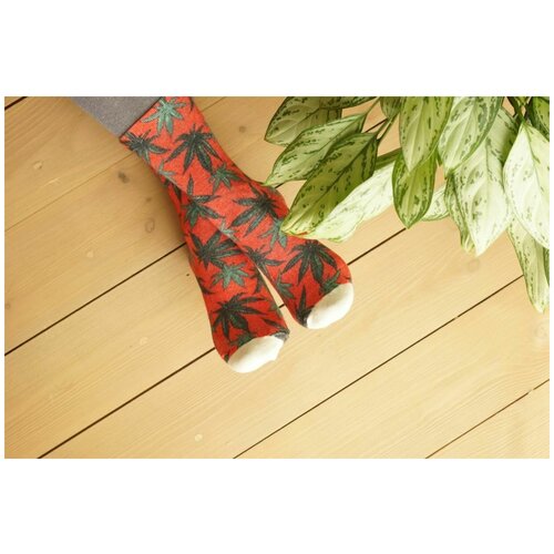 фото Носки шерстянки базовая коллекция, размер 42/45, красный