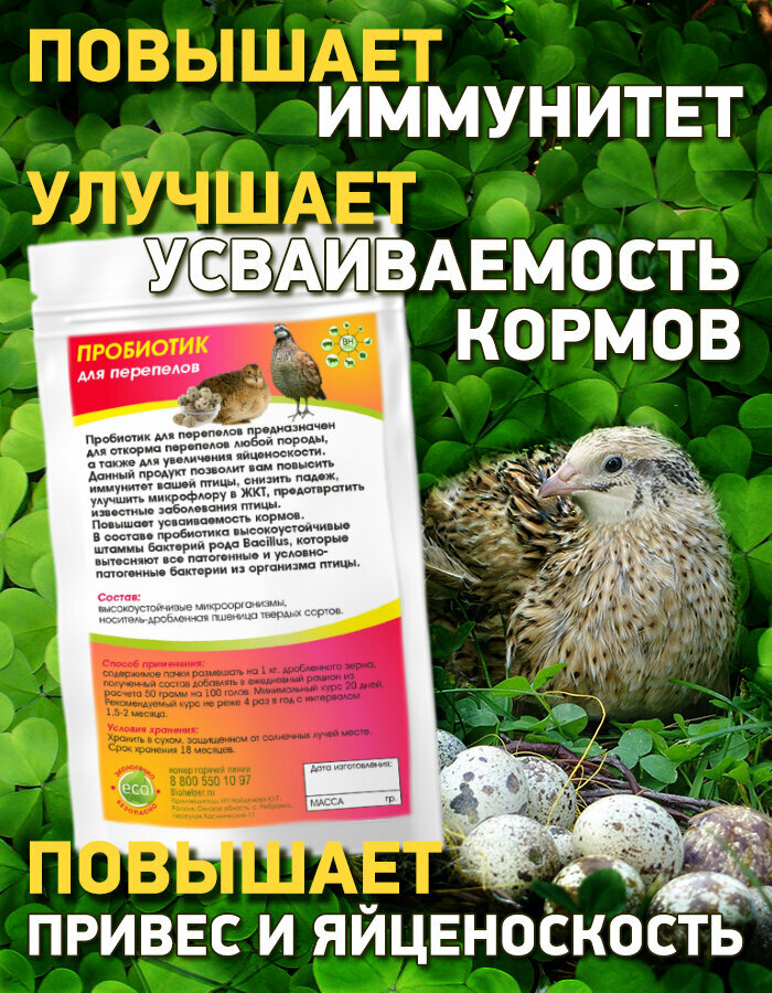 Пробиотик для перепелов
