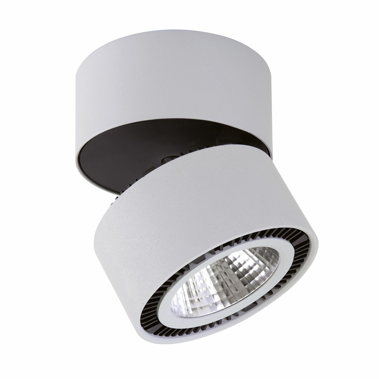 Настенно-потолочный светильник Forte 213830_LS LED 26 Вт металл белый