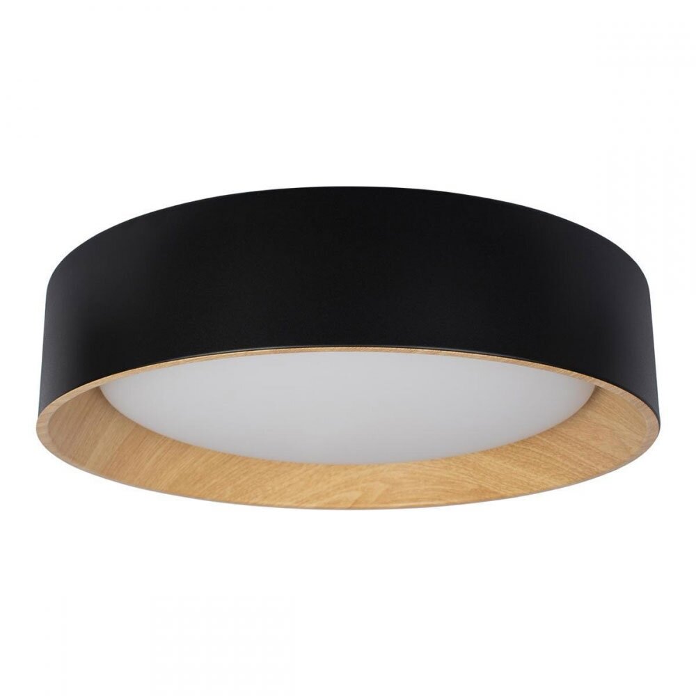 10202 Black Потолочный светодиодный светильник LOFT IT, Coin
