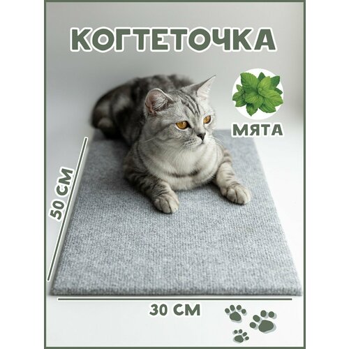 Когтеточка лежанка для кошки напольная из ковролина 320₽