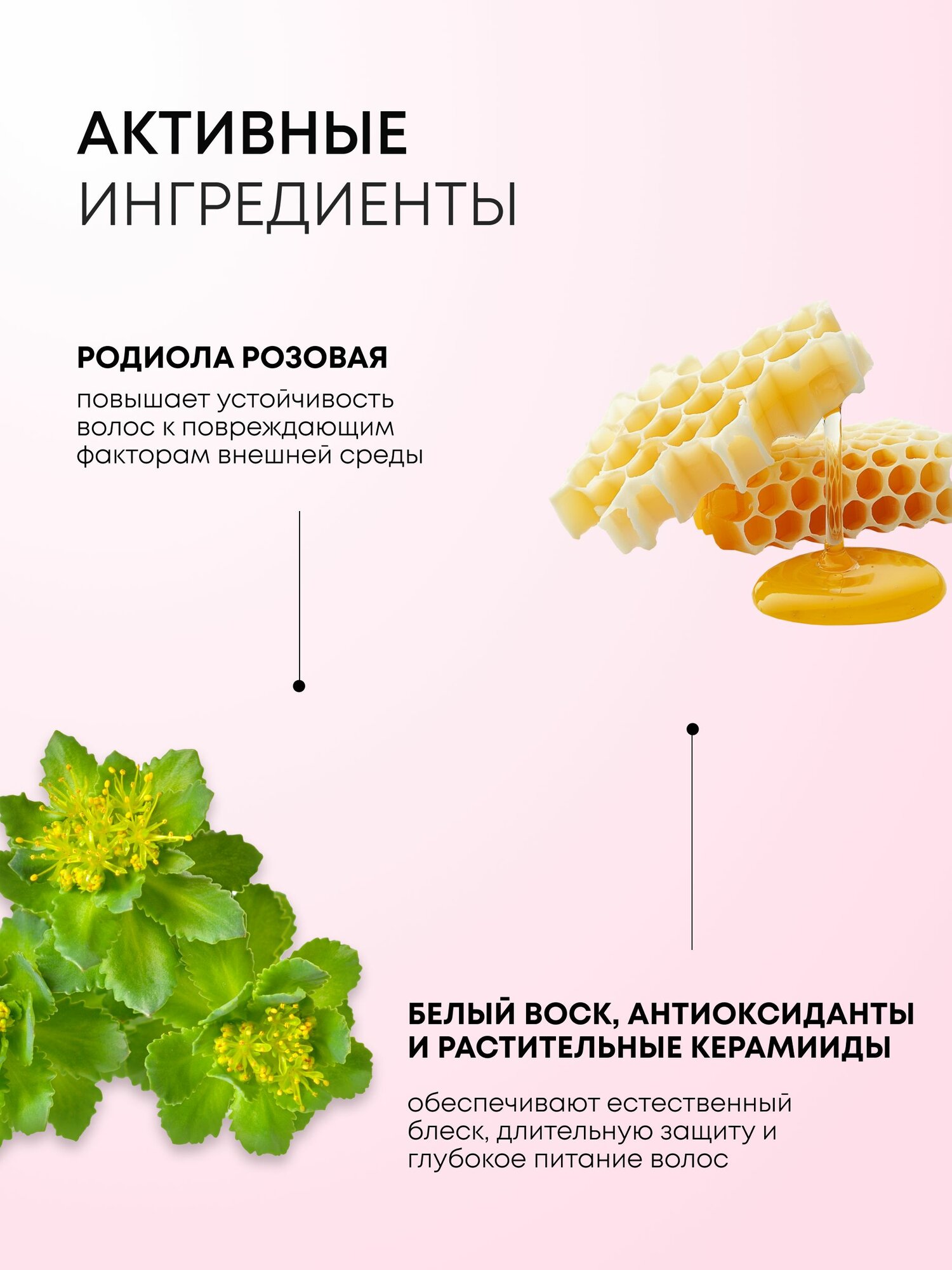 Бальзам-кондиционер Natura Siberica "Защита и блеск", для окрашенных волос, кондиционер ополаскиватель увлажняющий 400мл — фото 1