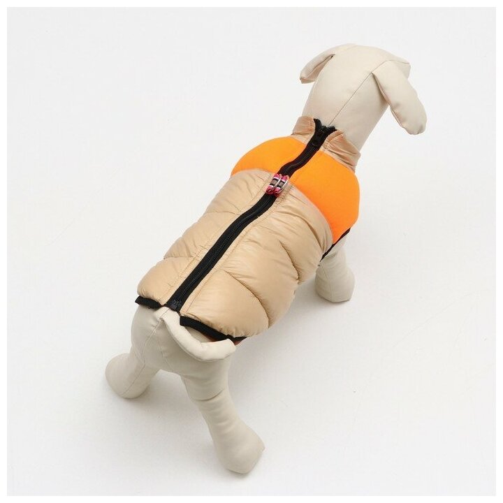Куртка для собак на молнии, размер 16 (ДС 36 см, ОГ 46 см, ОШ 35 см), бежевая с оранжевым - фотография № 2