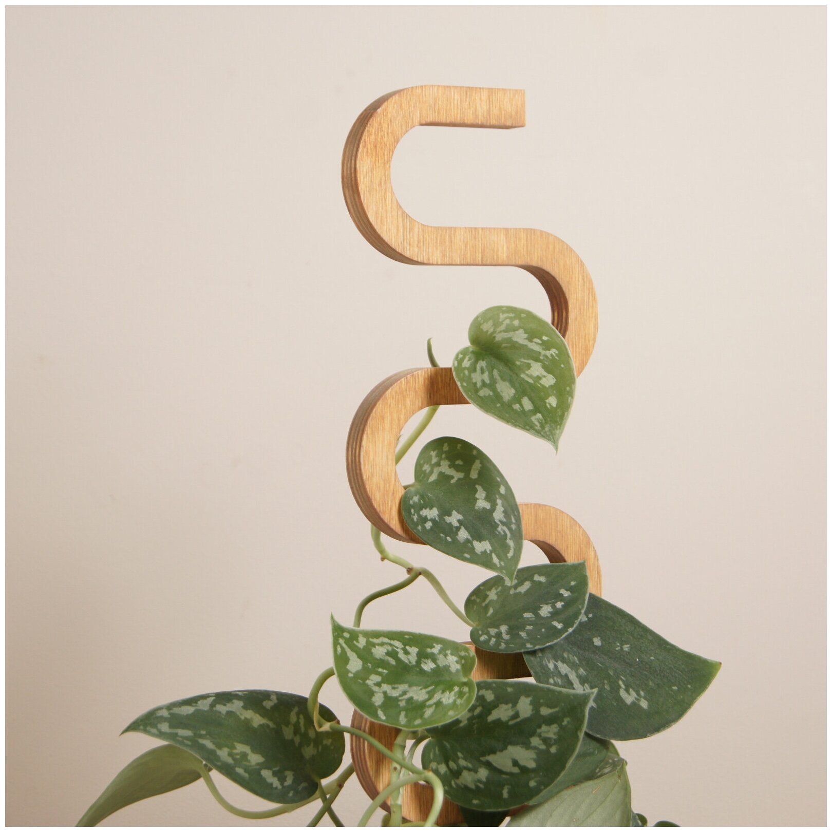 Опора для комнатных растений Cobra, коричневая, высота 40 см - фотография № 1