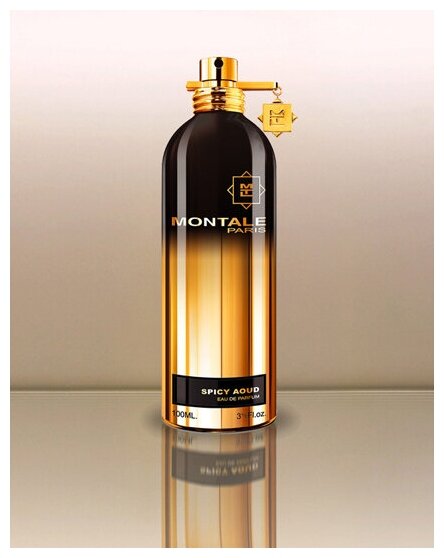 MONTALE парфюмерная вода Spicy Aoud — фото 1
