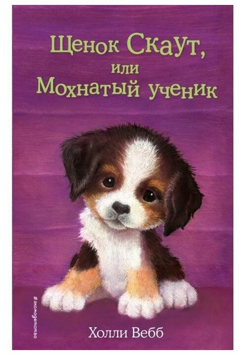 Щенок Скаут, или Мохнатый ученик - фото №1