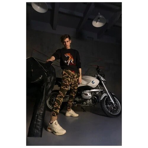 Свитшот Wild Tiger