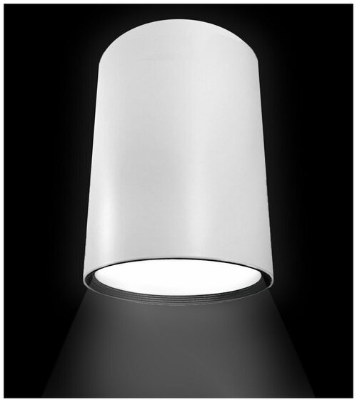 Светильник потолочный накладной, спот светодиодный Flylight GL817 / Потолочный точечный подвесной LED лампа. Свет белый - 12 Вт.