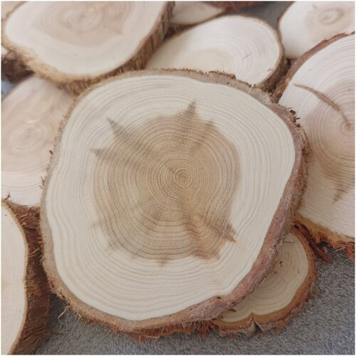 Спилы можжевельника 50 штук