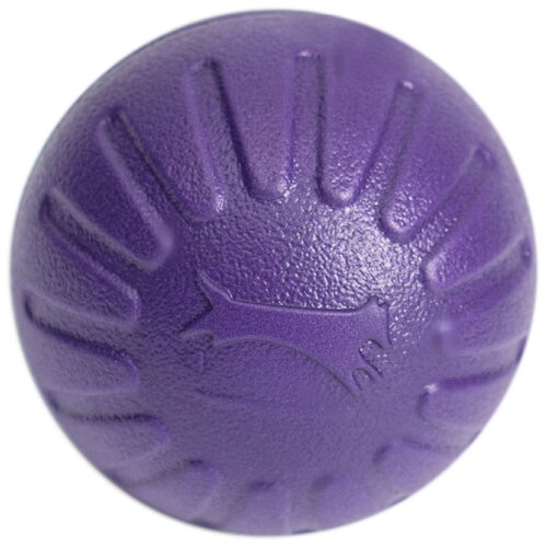 Мячик для собак Пижон плавающий для дрессировки 715979, фиолетовый