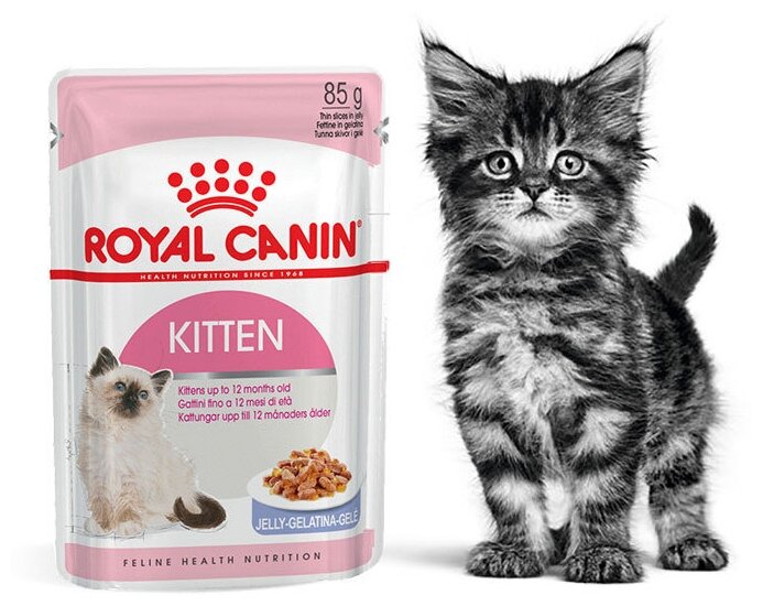 Royal Canin Kitten влажный корм для котят от 4 до 12 месяцев кусочки в желе, 85 г - фото №3