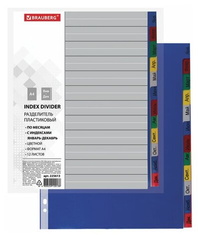 Разделитель пластиковый BRAUBERG, А4, 12 листов, Январь-Декабрь, оглавление, цветной, россия