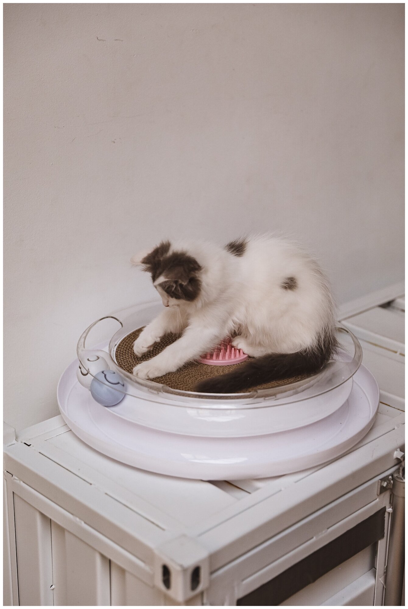 Когтеточка с игрушкой для кошек, "Не Один Дома" Орбита, белый - фотография № 6