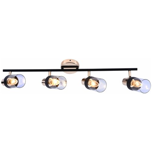 Светильник MDL29210/4