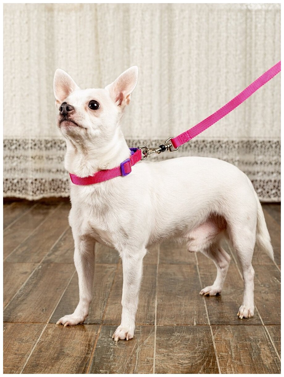 Поводок для собак Japan Premium Pet со стоппером и мягкой анатомической вкладкой для рук, размер S
