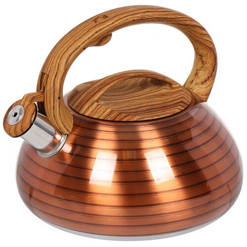 Чайник для плиты Daniks DSC-8797 коричневый 248000₽