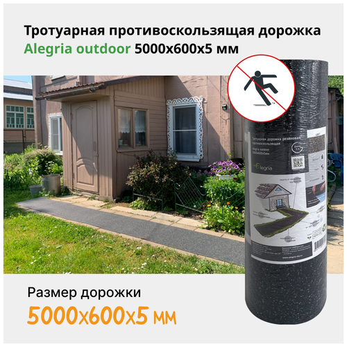 Тротуарная противоскользящая дорожка Alegria outdoor 5000х600х5 мм