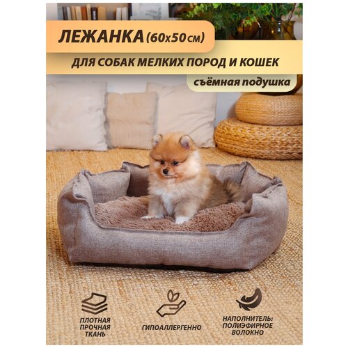Лежанка Beast. для кошек, для собак мелких и средних пород, лежак для животных, со съёмной подушкой, цвет: бежевый, 60x50 см