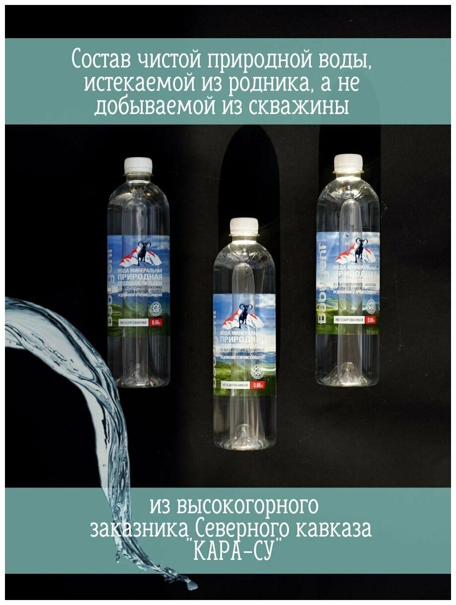 Вода природная минеральная питьевая BabugenT , негазированная. Пластик, 12 шт. по 0,65 л - фотография № 3