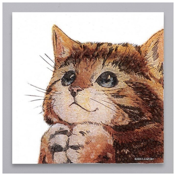 Салфетки бумажные однослойные «Котёнок», 24×24 см, набор 20 штук - фотография № 3