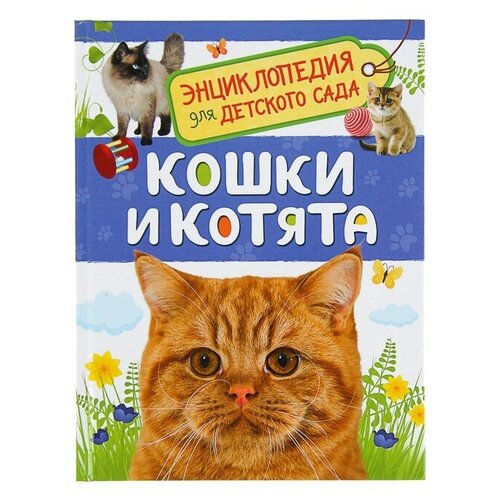 Энциклопедия для детского сада «Кошки и котята» котенко елена животный мир