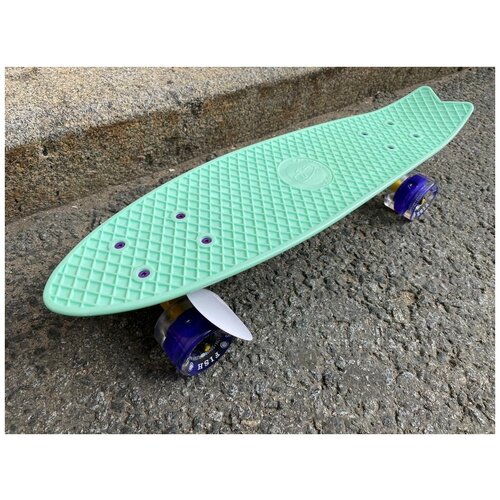 Пенни Борд 22 Рыбка Фиш Fish SkateBoards Мятный на светящихся колесах