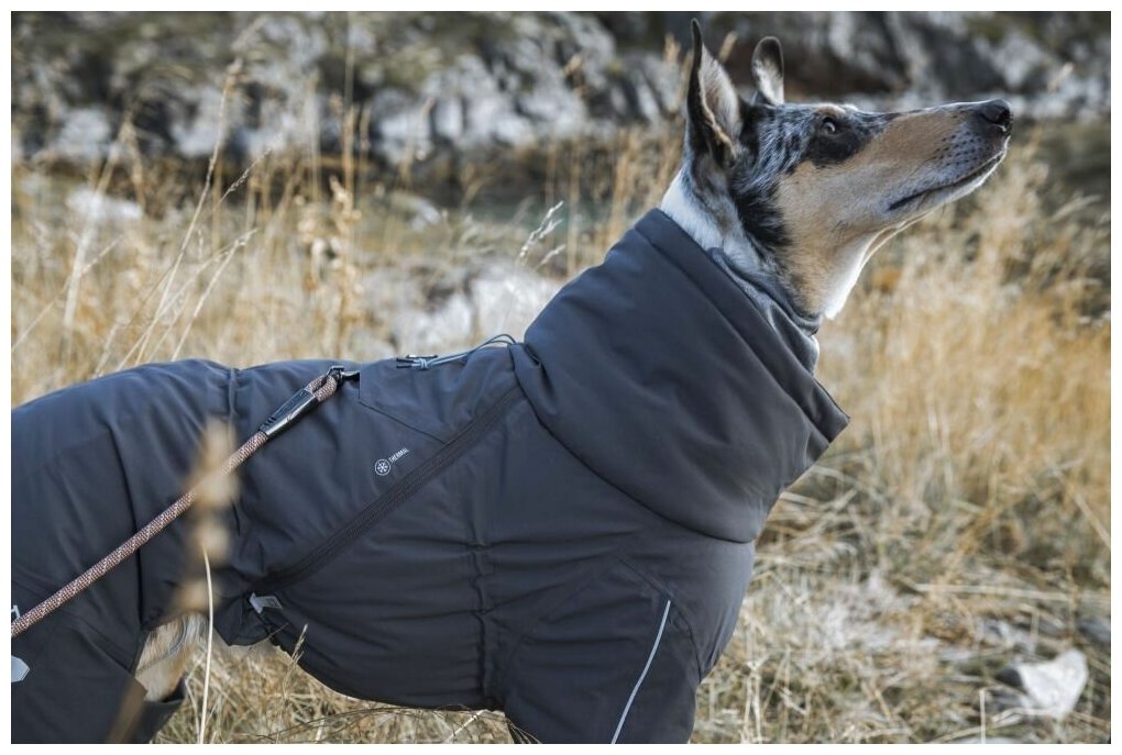 HURTTA EXTREME OVERALL комбинезон для собак теплый черный (30S) - фотография № 10