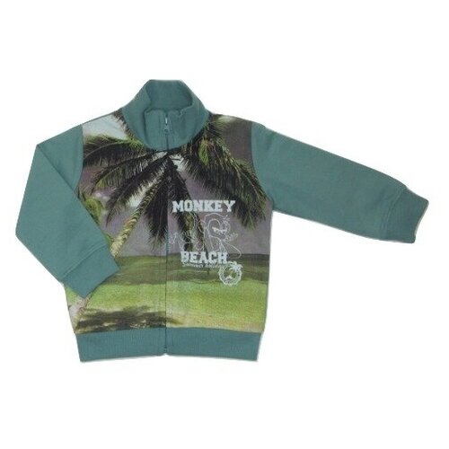 Кардиган для мальчика (Размер: 74), арт. LR02043, цвет Голубой