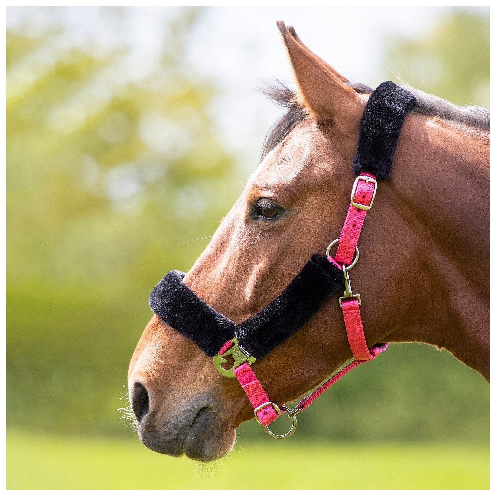 Недоуздок для лошади на флисе SHIRES , FULL, розовый (Великобритания)