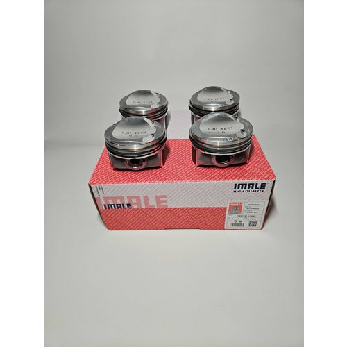 Комплект поршней VAG 1.8TSI под палец 21мм, первый ремонт +0,25мм