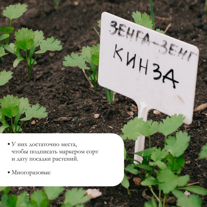 Таблички Садовые Таблички садовые, для маркировки растений, 7 см, набор 20 шт, пластик, белые, Greengo
