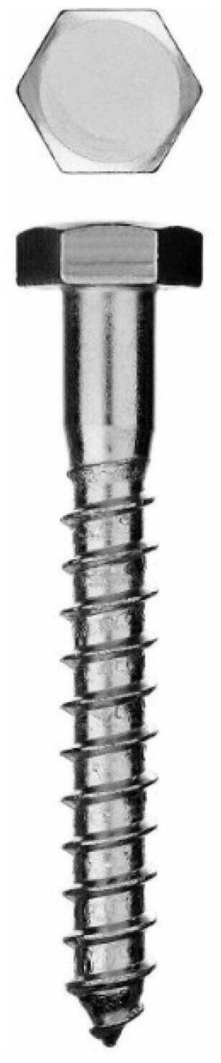 фото Шурупы с шестигранной головкой, ЗУБР, 4-300456-10-070