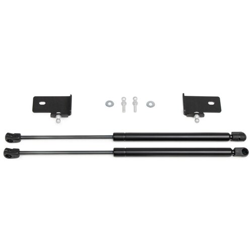 Газовые упоры капота Pneumatic для Mitsubishi Pajero Sport III 2016-2021, 2 шт., KU-MI-PJSP-03
