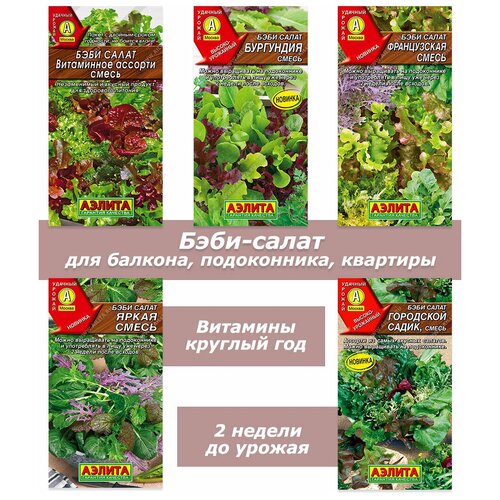 Набор семян, семена зелени, салата для подоконника, квартиры, балкона семена бэби салата восточная смесь