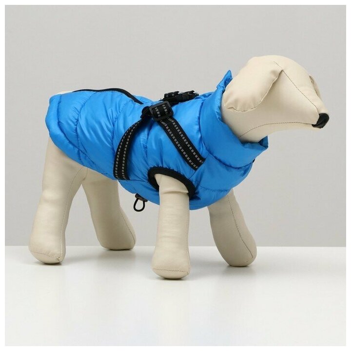 Куртка для собаксо шлейкой, размер 14 (ДС 32 см, ОГ 42 см, ОШ 31 см), лазурная - фотография № 12