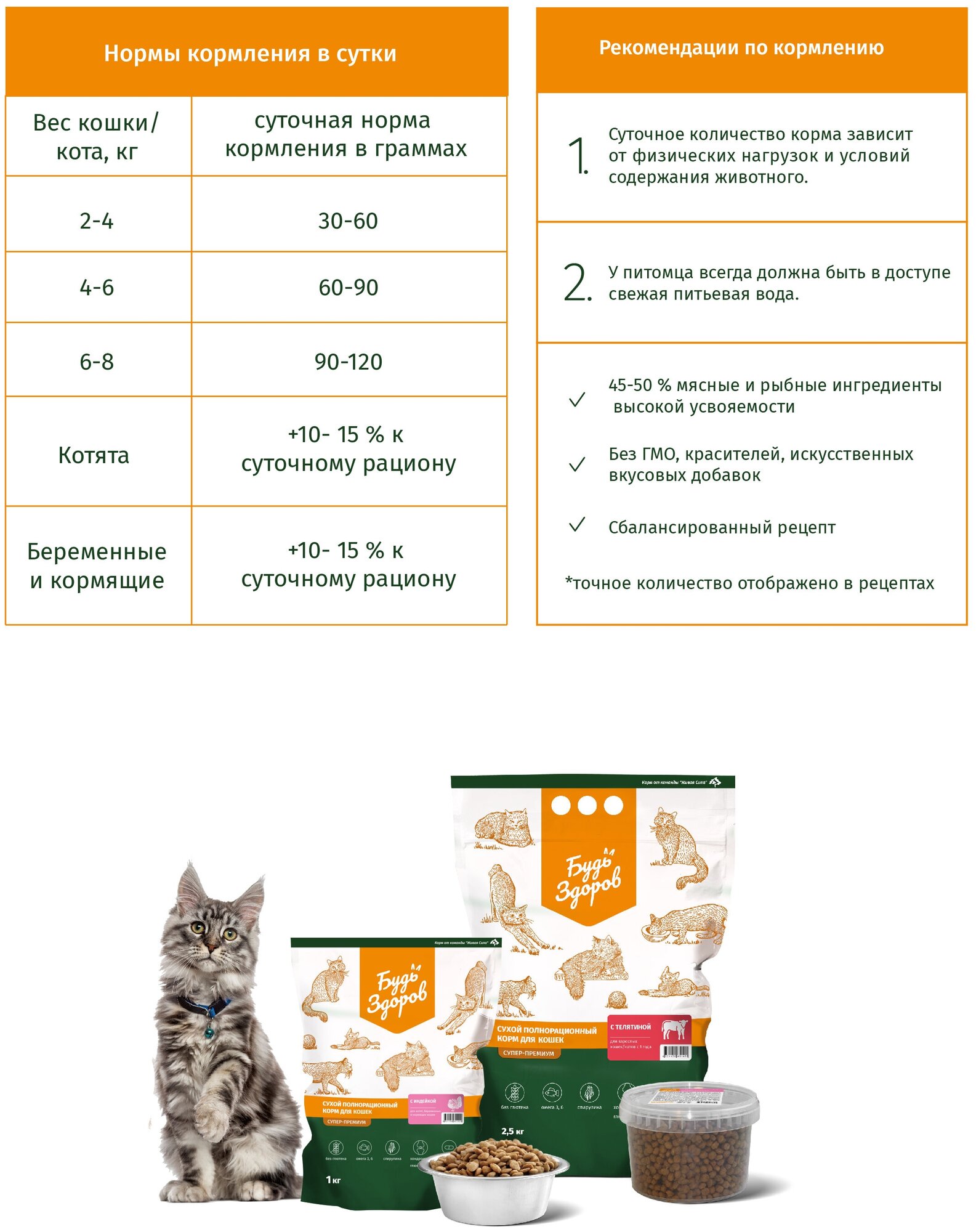 Сухой корм для кошек Будь Здоров с 1 года с индейкой 2.5кг ООО Живая сила - фото №7