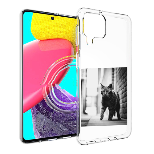 Чехол MyPads Важный-кот для Samsung Galaxy M53 (SM-M536) задняя-панель-накладка-бампер