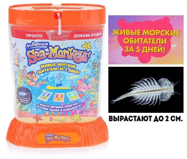 Аквариум 1Toy "Sea-Monkeys" для выращивания ракообразных вида Artemia Salina (Т13624) - фотография № 7