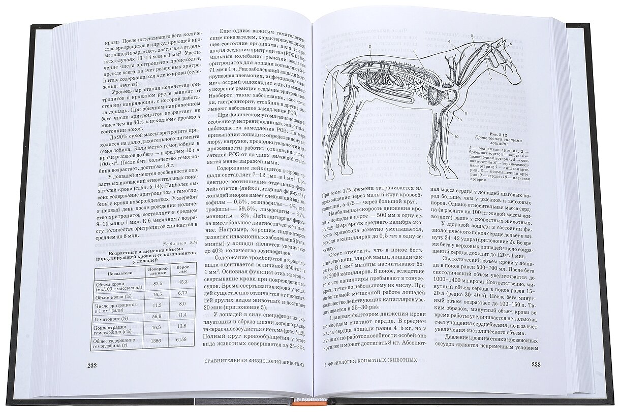 Сравнительная физиология животных. Учебник - фото №2