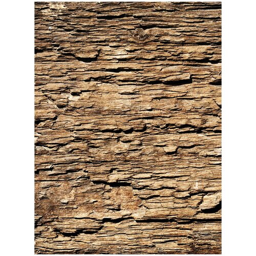 Фотообои флизелин эко Древесная кора 200х270 4482₽