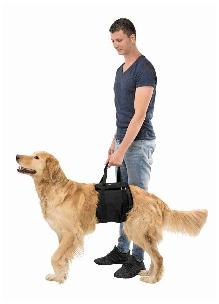 Транспортировочный бандаж для собак, L–XL: 75-90 см/35-45 кг