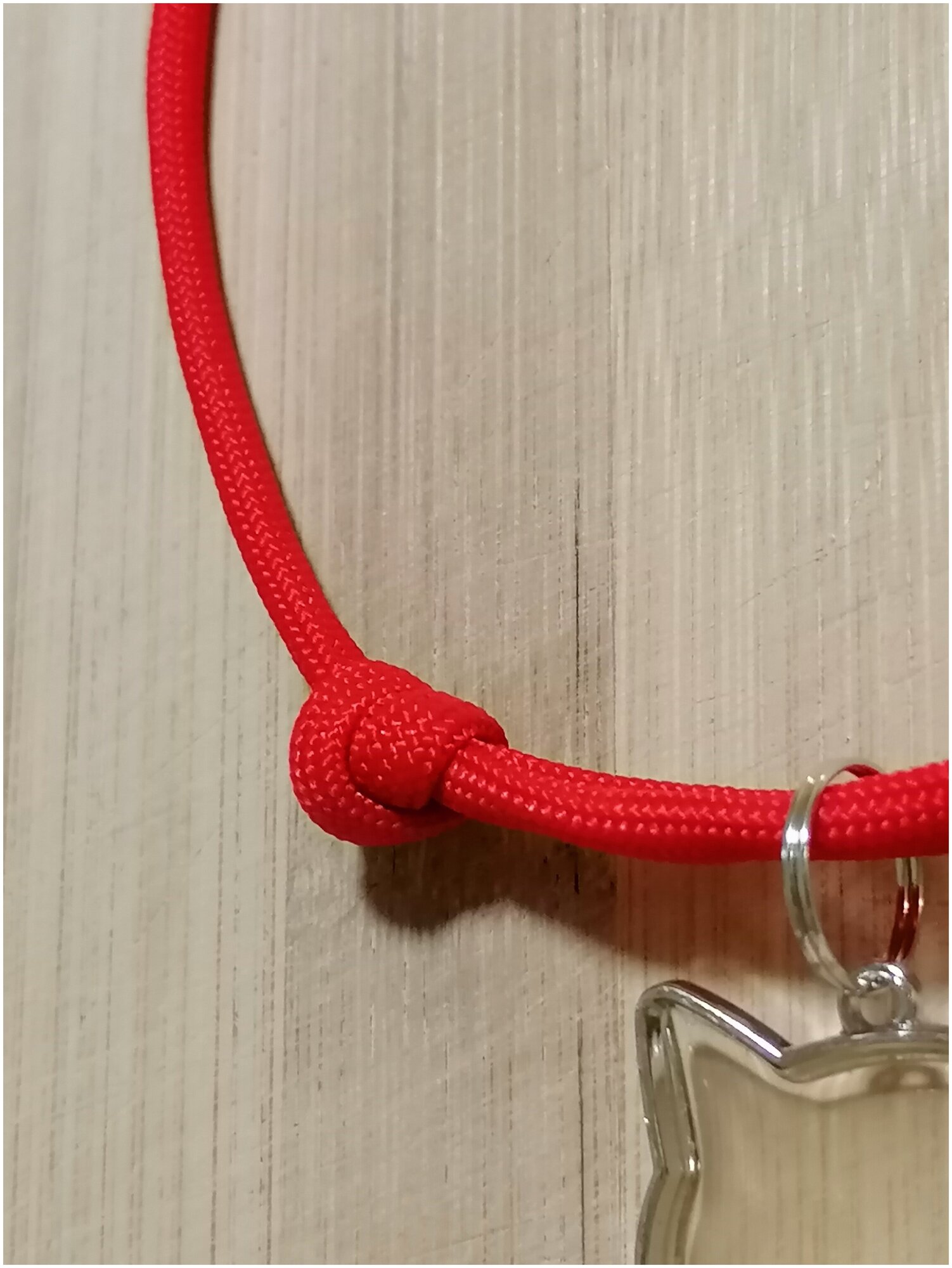 Шнурок для адресника, красный, размер XS - 15-30 см - фотография № 3