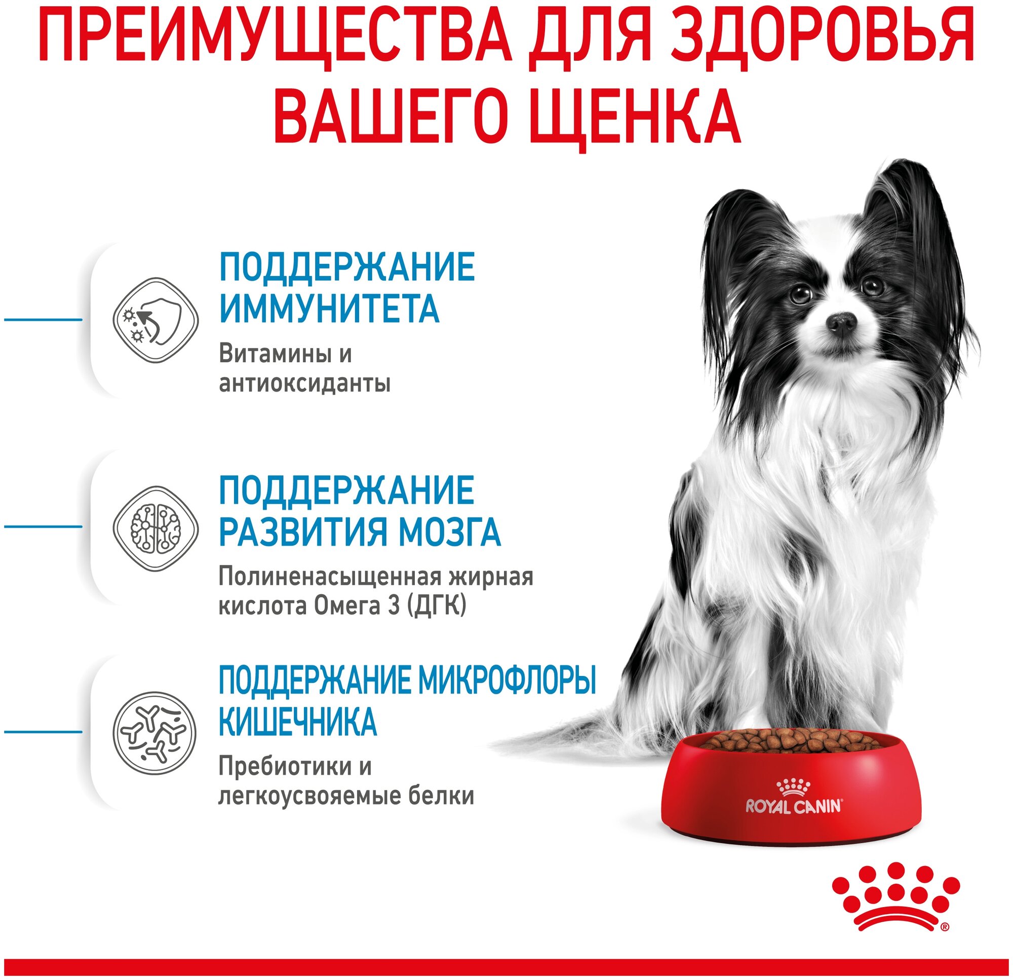 Сухой корм Royal Canin X-Small Puppy (Икс Смолл Паппи) для щенков миниатюрных пород (вес взрослой собаки до 4 кг) до 10 месяцев, 3 кг - фотография № 3