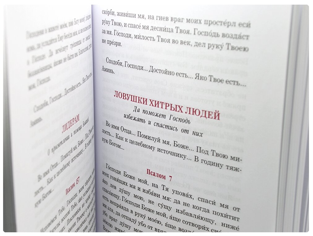 Псалмы, чтомые на всякую потребу души - фото №7
