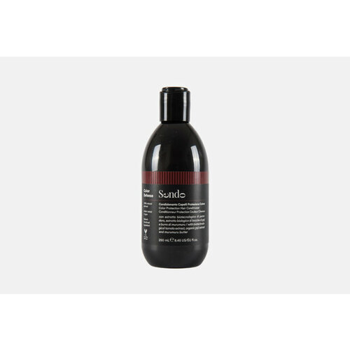 Кондиционер для сохранения цвета волос Color Protection Hair Conditioner 250 мл